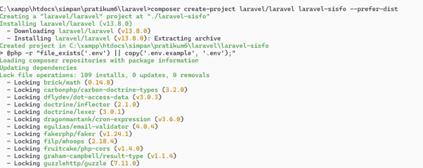 Picture1 - composer create-project