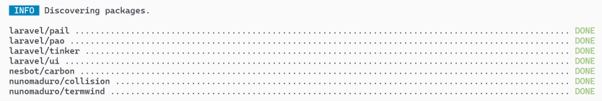 Picture5 - install laravel/ui